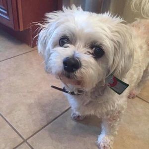 Meet your Posher, Juanie